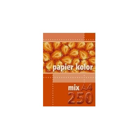 Papier Xero A4 80G Mix Kolorów (250 Arkuszy) Kreska