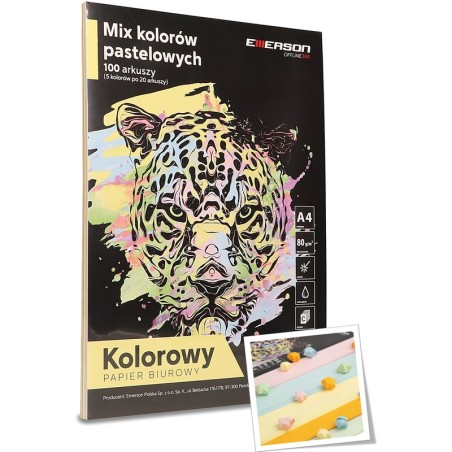 Papier Emerson A4/80G Pastelowy 5 Kolorów (5X20)