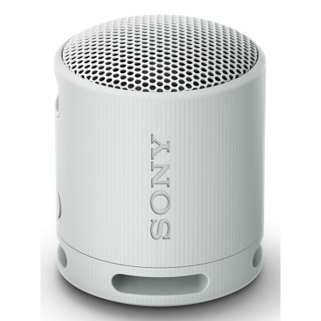 Sony Srs-Xb100 Głośnik Mono Przenośny Szary