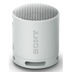 Sony Srs-Xb100 Głośnik Mono Przenośny Szary
