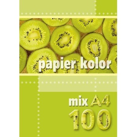 Papier Xero A4 Mix Kolorów 160G (100 Arkuszy) Kreska.