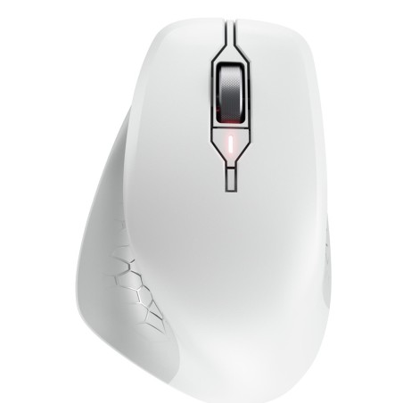 Cherry Jw-8550-0 Myszka Uniwersalne Po Prawej Stronie Rf Wireless Optyczny 4000 Dpi