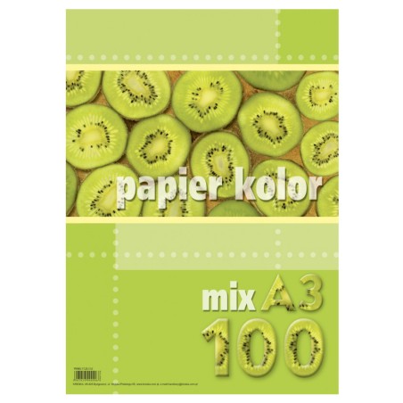 Papier Xero A3 80G  Mix Kolorów (100 Arkuszy) Kreska.