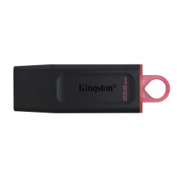 Kingston Flash 256Gb Usb3.2 Gen1 Datatraveler Exodia (B+P)
