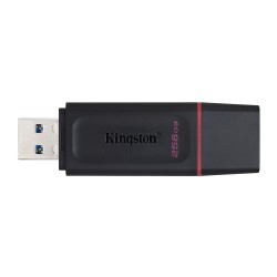 Kingston Flash 256Gb Usb3.2 Gen1 Datatraveler Exodia (B+P)