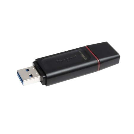 Kingston Flash 256Gb Usb3.2 Gen1 Datatraveler Exodia (B+P)