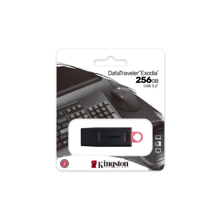 Kingston Flash 256Gb Usb3.2 Gen1 Datatraveler Exodia (B+P)