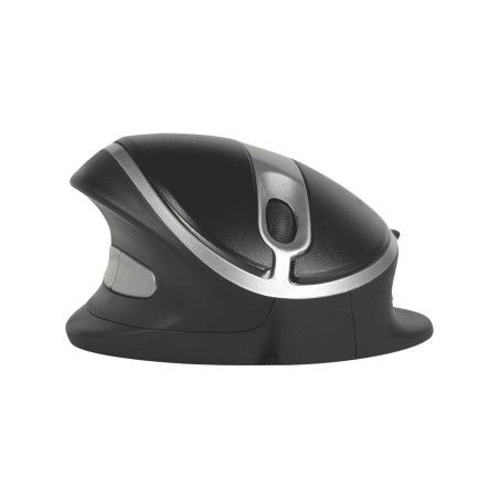 Bakkerelkhuizen Oyster Mouse