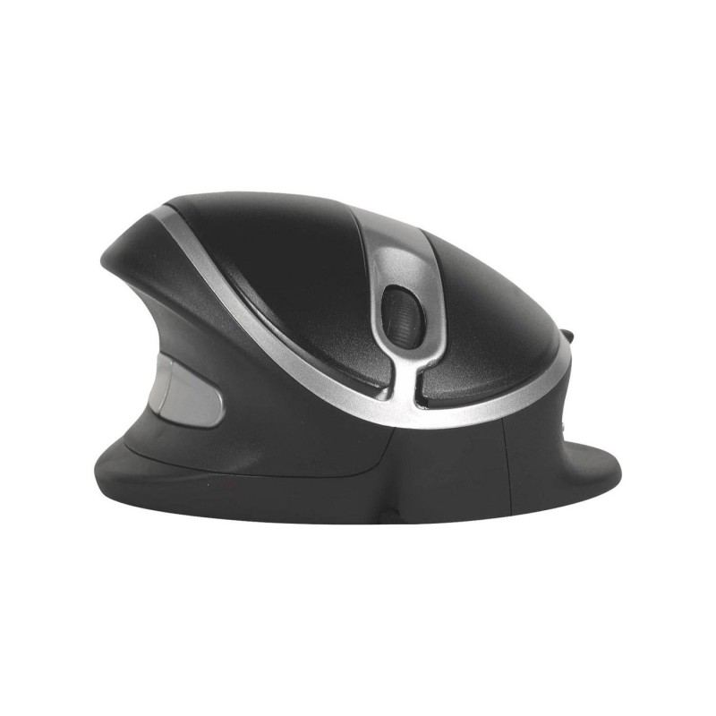 Bakkerelkhuizen Oyster Mouse