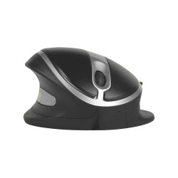 Bakkerelkhuizen Oyster Mouse