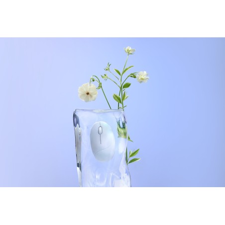 Mysz Bezprzewodowa Asus Md101 Fragrance Mouse Wireless /Bluetooth Iridescent White