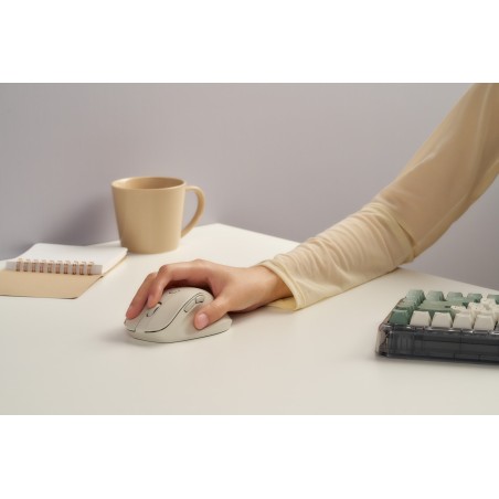 Mysz Bezprzewodowa Asus Md105 Wireless Mouse Milky White 2400Dpi Dual-Mode Wireless 2.4 Ghz And Bluetooth