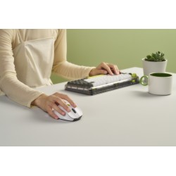 Mysz Bezprzewodowa Asus Md105 Wireless Mouse Volt Green 2400Dpi Dual-Mode Wireless 2.4 Ghz And Bluetooth
