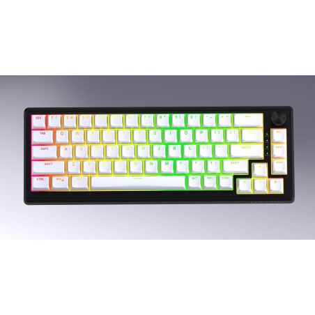 Hator Skyfall Wireless 65 Klawiatura Gaming Usb + Rf Wireless + Bluetooth Qwerty Us English Czarny, Biały