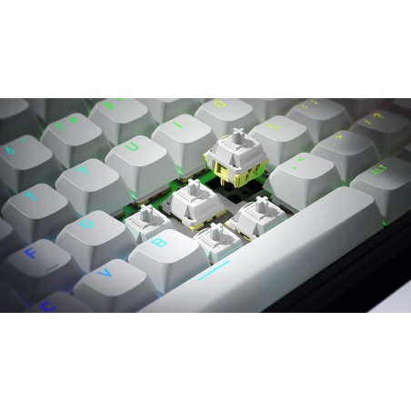 Hator Rockfall 3 Tkl Wireless Klawiatura Uniwersalne Usb + Rf Wireless + Bluetooth Qwerty Angielski Biały