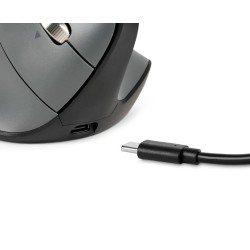 Bakkerelkhuizen Fastforward Pro Mouse Myszka Biuro Po Prawej Stronie Rf Wireless + Bluetooth + Usb Type-C Optyczny 5000 Dpi