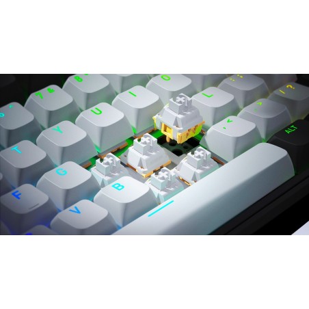 Hator Skyfall Pro Wireless 65 Klawiatura Gaming Usb + Rf Wireless + Bluetooth Qwerty Us English Czarny, Szary