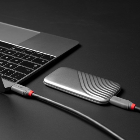 Lindy 36958 Kabel Usb Usb4 Gen 3X2 2 M Usb C Czarny