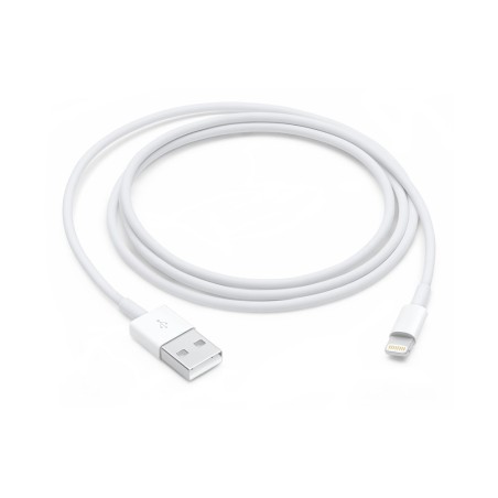 Apple Lightning To Usb Cable (1M)