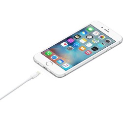 Apple Lightning To Usb Cable (1M)