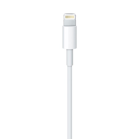 Apple Lightning To Usb Cable (1M)