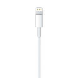Apple Lightning To Usb Cable (1M)