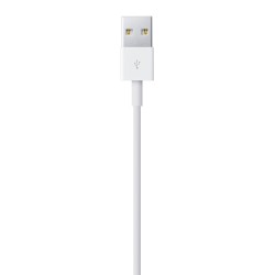 Apple Lightning To Usb Cable (1M)