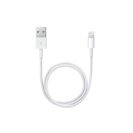 Lightning To Usb Cable (0.5 M)