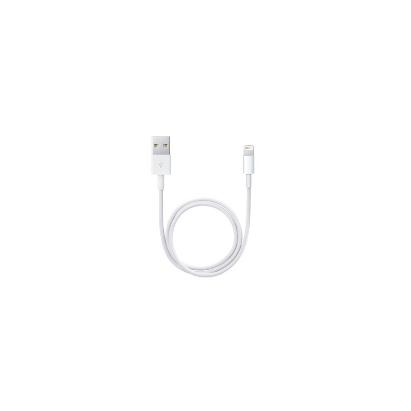 Lightning To Usb Cable (0.5 M)