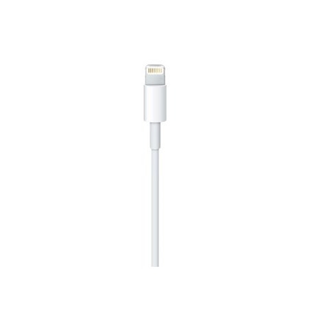 Lightning To Usb Cable (0.5 M)