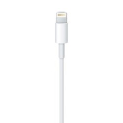 Lightning To Usb Cable (0.5 M)
