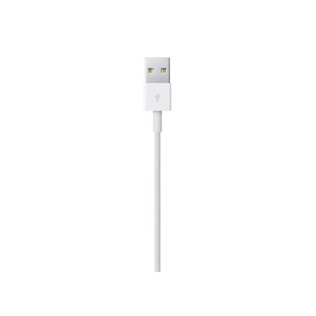 Lightning To Usb Cable (0.5 M)