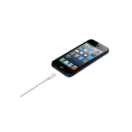 Lightning To Usb Cable (0.5 M)