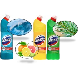 Płyn Do Wc Domestos 1L