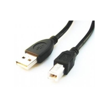 Kabel Gembird Ccp-Usb2-Ambm-6 (Usb 2.0 Typu A M - Usb 2.0 Typu B M  1,8M  Kolor Czarny)